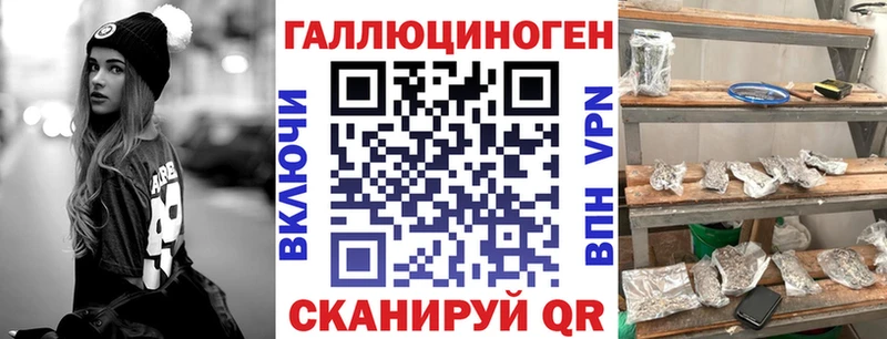 где можно купить наркотик  Партизанск  Псилоцибиновые грибы Cubensis 