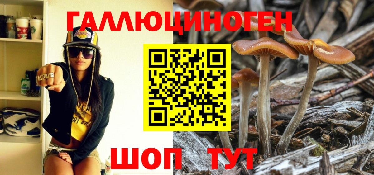 Галлюциногенные грибы Magic Shrooms Партизанск