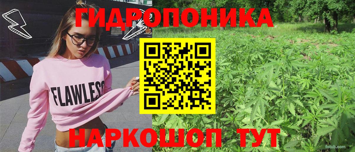 Канабис LSD WEED  Конопля индика  Канабис Bruce Banner  Вход с VPN  Бошки Шишки семена  Партизанск 